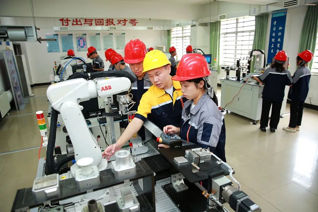 8个专业物理类投档线超本科线!这所高职制造类专业受追捧